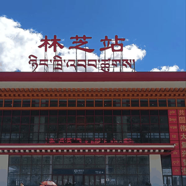 林芝米林机场接送服务 准时接机送机 行李协助
